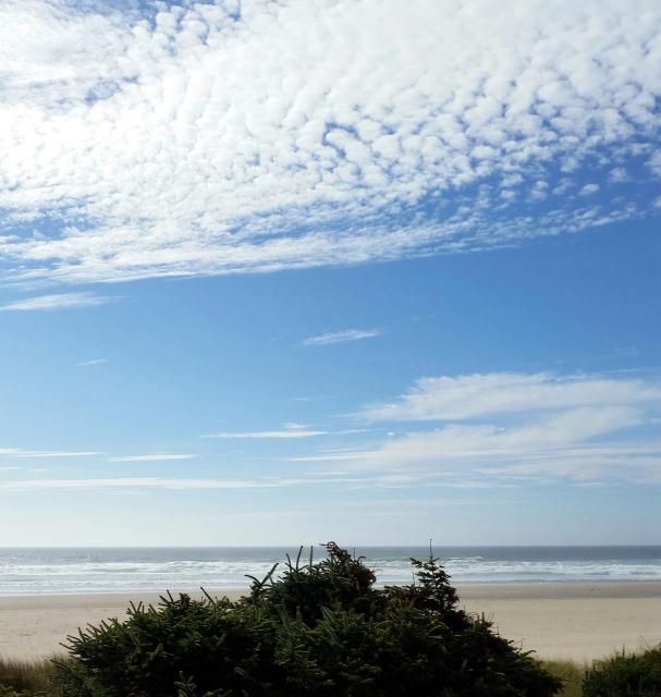 Filename: Ocean view from deck.jpg
Size: 192.13 KB
08-29-2015, 07:12 PM