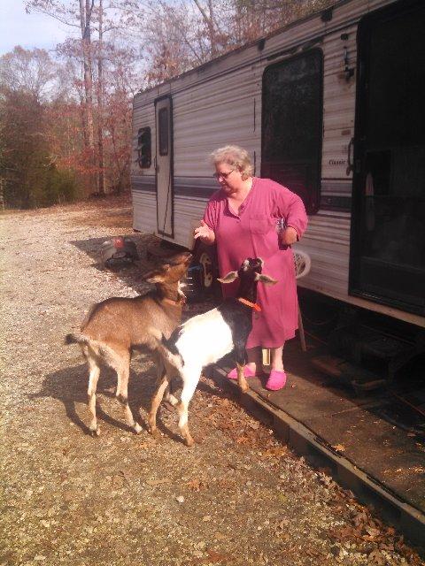 Filename: Goat Lessons from Susan.jpg
Size: 88.59 KB
11-18-2015, 06:28 AM