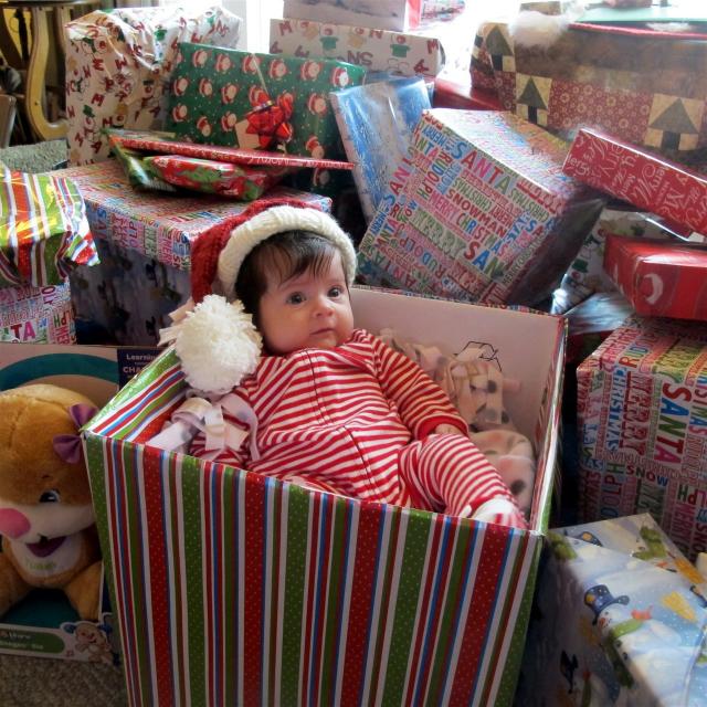 Filename: Haven first Christmas.JPG
Size: 351.12 KB
12-26-2015, 02:15 PM