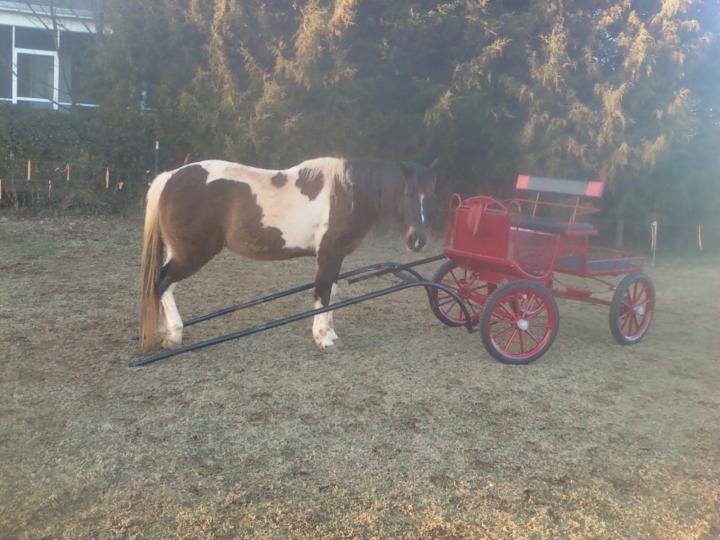 Filename: PolarMeets Driving Cart.jpg
Size: 940.53 KB
03-06-2016, 06:23 PM