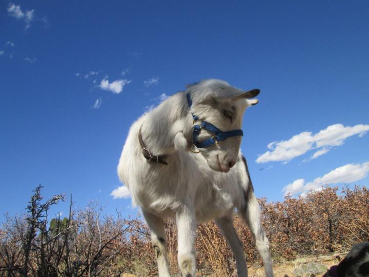Filename: 4:4:16.12.jpg Size: 170.92 KB Yesterday, 08:19 AM