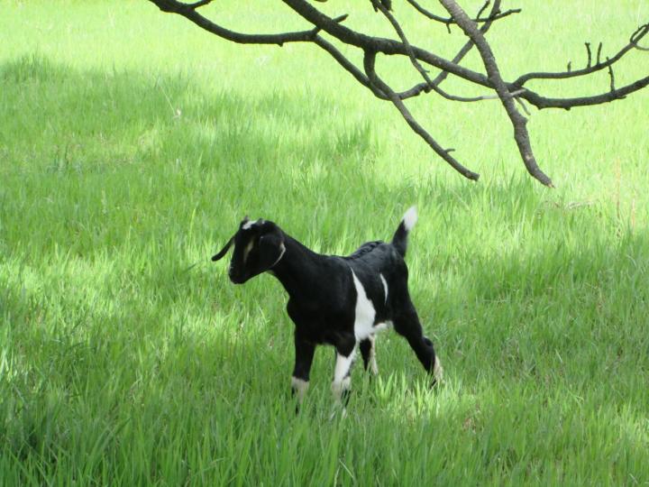 Filename: 5:29:16.6.jpg Size: 226.25 KB 45 minutes ago