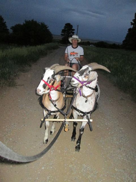 Filename: Team_FirstDrive.jpg
Size: 176.44 KB
06-22-2016, 08:35 PM