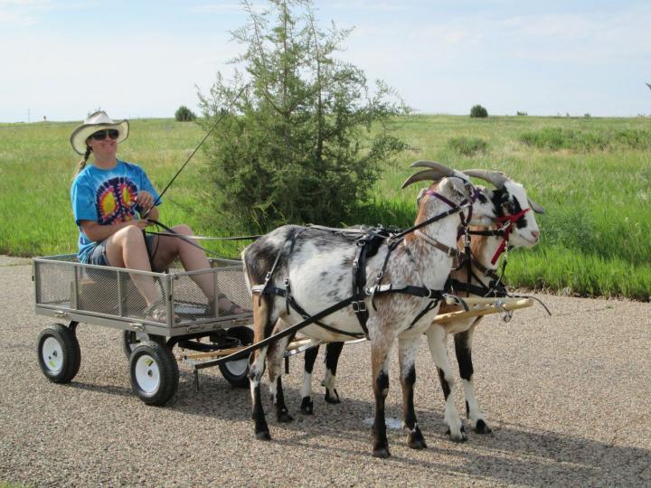 Filename: Driving_6:23:16.2.jpg
Size: 289.88 KB
06-23-2016, 07:02 PM