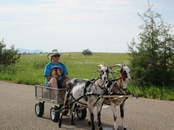 Filename: Driving_6:23:16.1.jpg
Size: 219.71 KB
06-23-2016, 07:02 PM