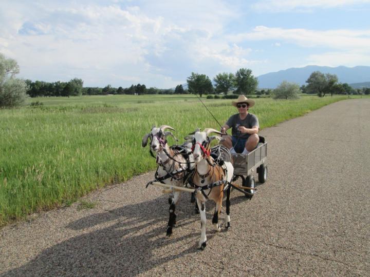 Filename: Driving_6:23:16.3.jpg
Size: 242 KB
06-23-2016, 07:03 PM