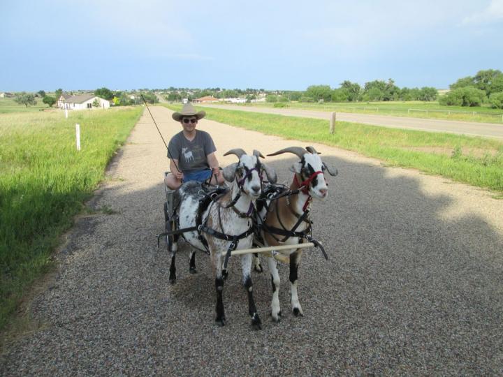 Filename: Driving_6:23:16.4.jpg
Size: 245.95 KB
06-23-2016, 07:03 PM