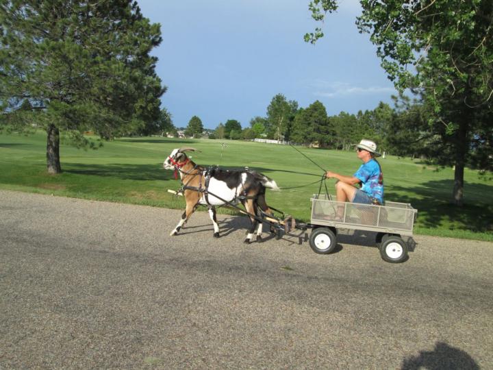 Filename: Driving_6:23:16.5.jpg
Size: 263.85 KB
06-23-2016, 07:03 PM
