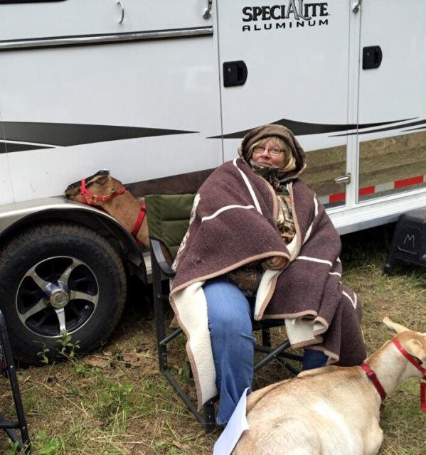 Filename: Bourbon at 2016 Rendy. Asleep on the fender.jpg
Size: 157.74 KB
07-21-2016, 08:11 PM