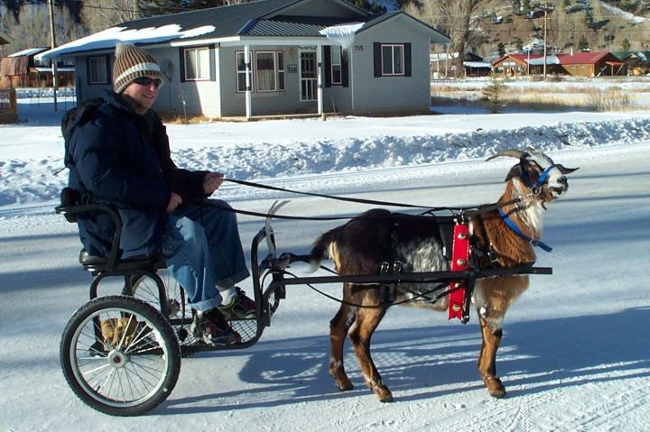 Filename: Cuzco_WinterCart.jpg
Size: 217.68 KB
12-11-2013, 09:40 AM