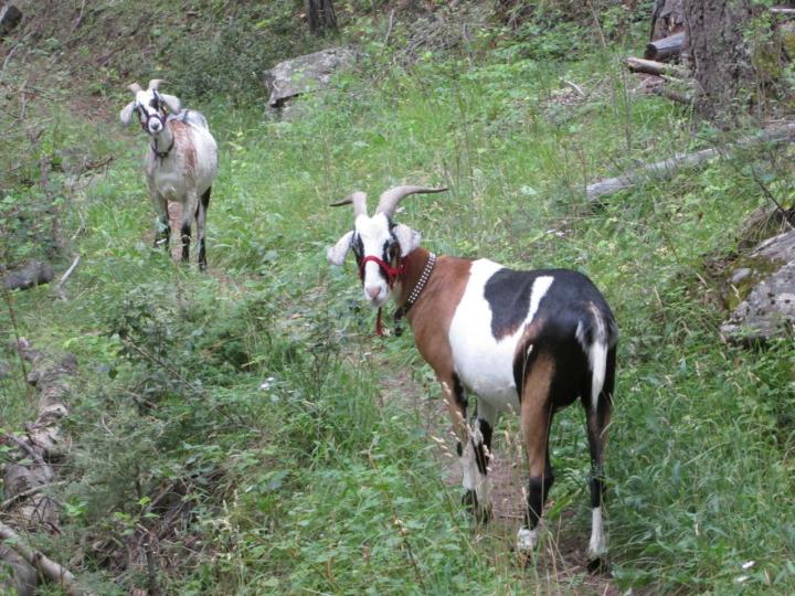 Filename: 8:11:16.14.jpg
Size: 306.24 KB
08-14-2016, 07:05 PM