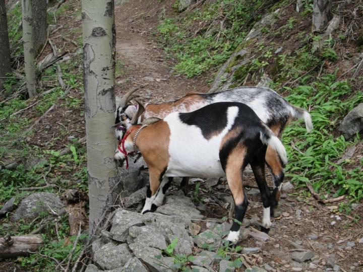 Filename: 8:11:16.15.jpg
Size: 310.17 KB
08-14-2016, 07:06 PM