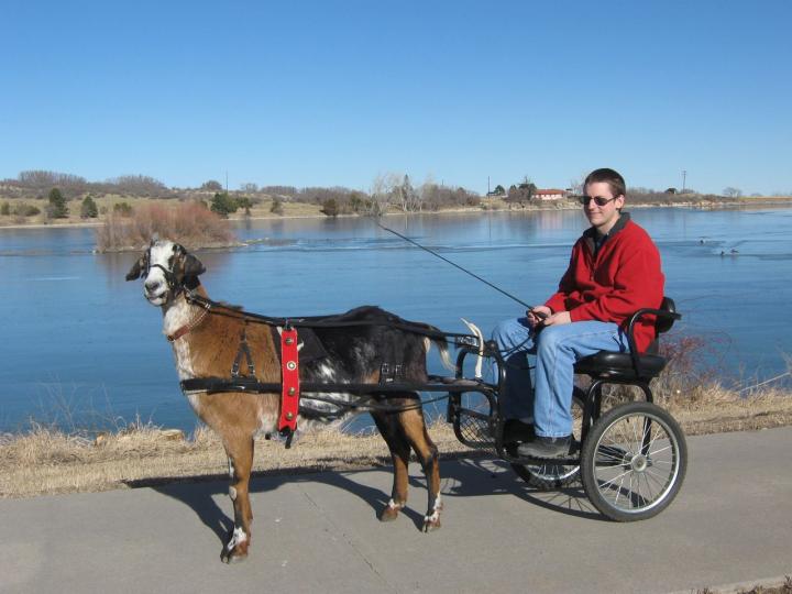 Filename: Cuzco_LakeDrive.jpg
Size: 166.59 KB
12-11-2013, 09:42 AM