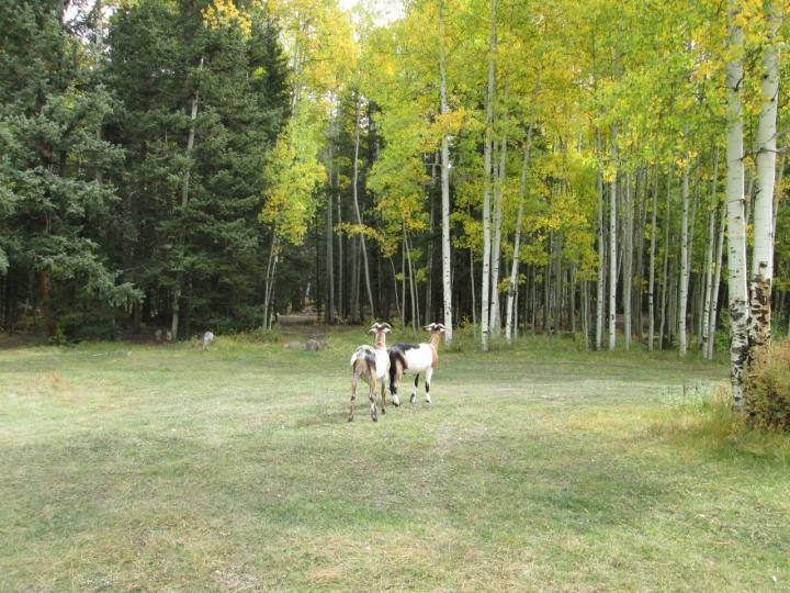 Filename: Snowden.5.jpg
Size: 337.29 KB
12-14-2016, 09:23 AM