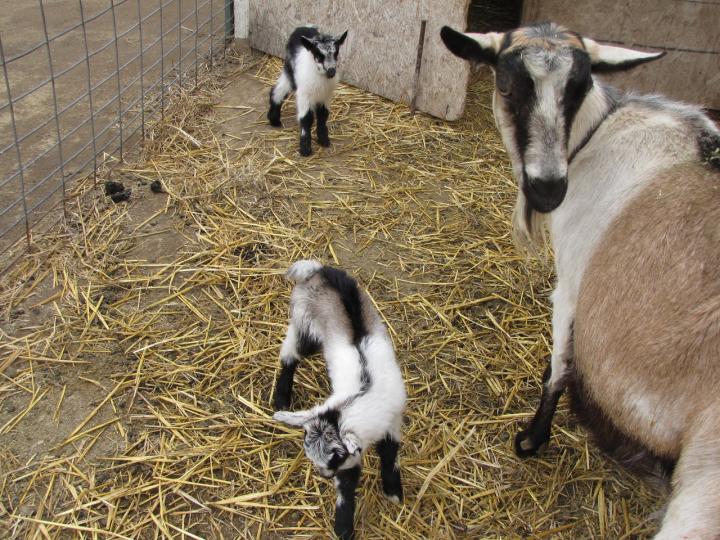 Filename: babies 038.jpg
Size: 474.88 KB
03-07-2017, 03:21 PM