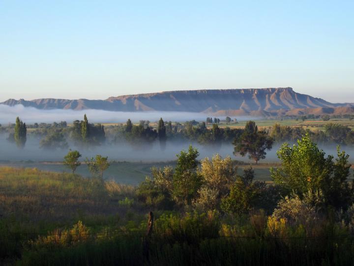 Filename: fog_01.jpg
Size: 363.22 KB
07-28-2017, 05:57 AM