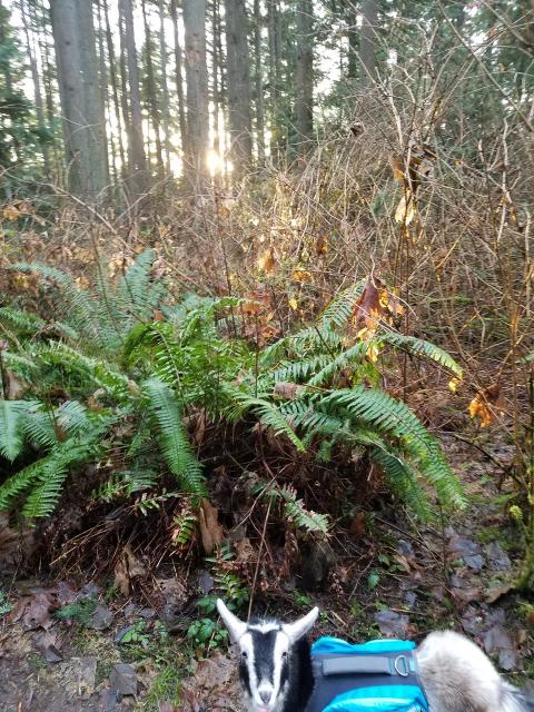 Filename: 20180122_162153.jpg
Size: 461.48 KB
01-23-2018, 02:11 AM