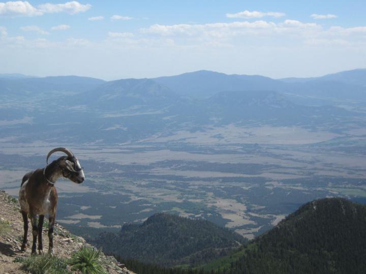 Filename: Cuzco_Overlook.jpg Size: 127.56 KB 1 hour ago