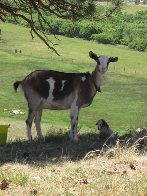 Filename: 5:31:18.14.jpg Size: 211.82 KB 9 minutes ago