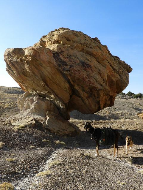 Filename: 30_June_18_Unsafe_01.jpg
Size: 654.01 KB
06-30-2018, 06:32 PM