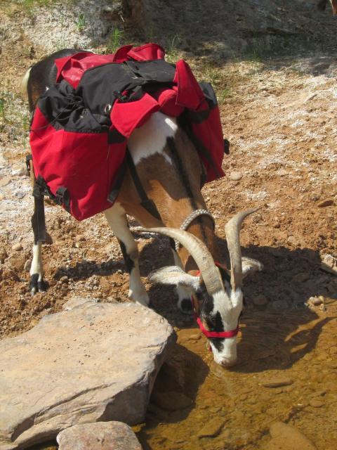 Filename: 6:20:18.41.jpg Size: 242.82 KB 07-02-2018, 11:56 AM