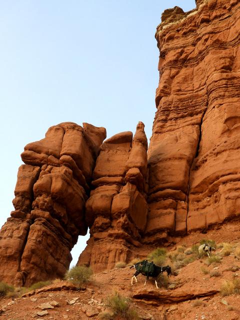 Filename: morning_cliff_04.jpg
Size: 309.56 KB
08-12-2018, 07:44 PM