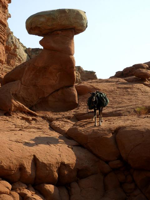 Filename: goblin_hoodoo_03.jpg
Size: 331.99 KB
08-12-2018, 07:54 PM