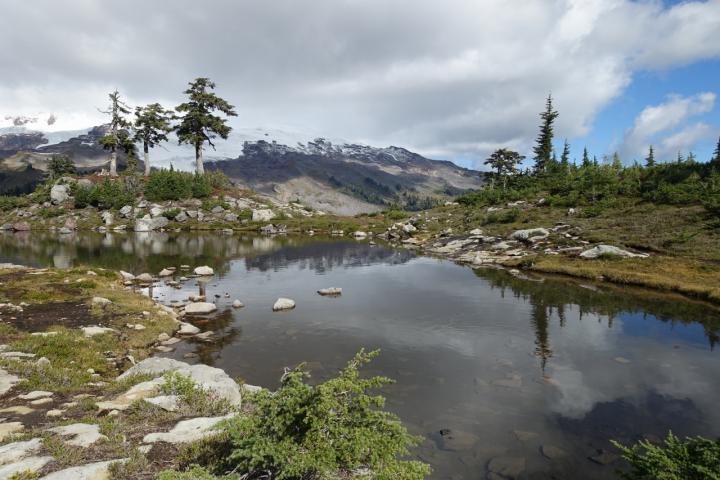 Filename: DSC01868sm.JPG
Size: 371.3 KB
10-16-2018, 07:46 PM