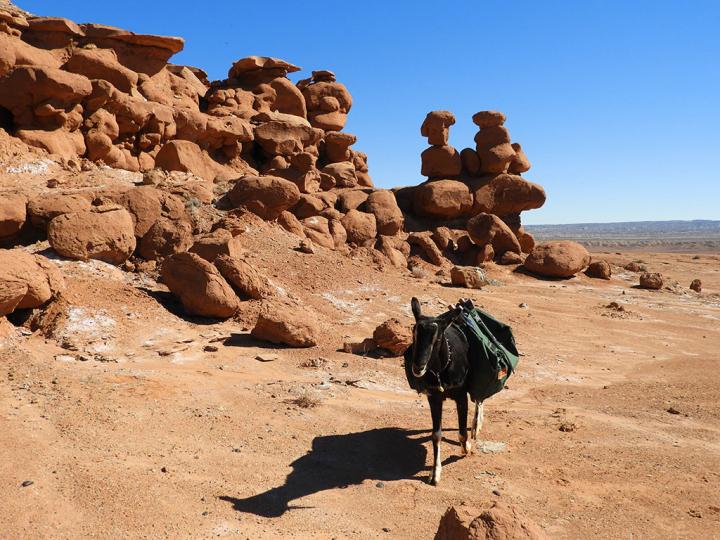 Filename: Hoodoos_01.jpg
Size: 312.74 KB
03-17-2019, 08:13 PM