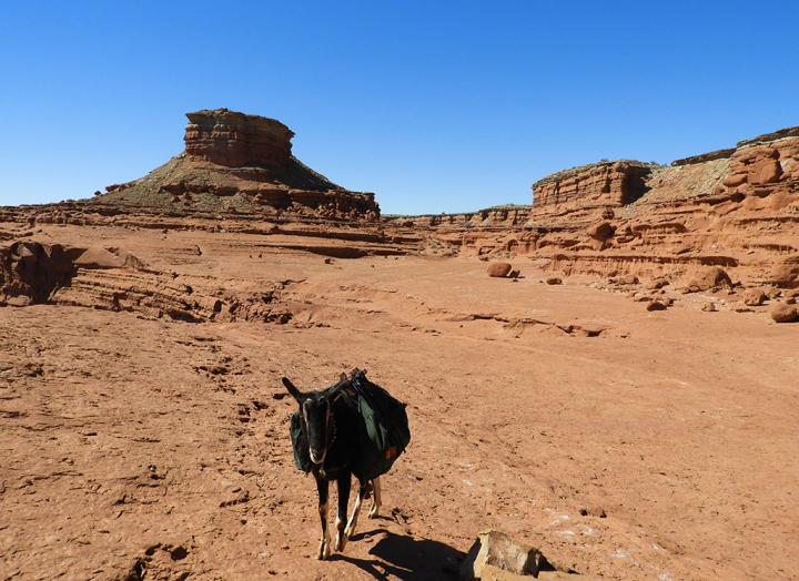 Filename: Plateau_01.jpg
Size: 265.06 KB
03-17-2019, 08:17 PM