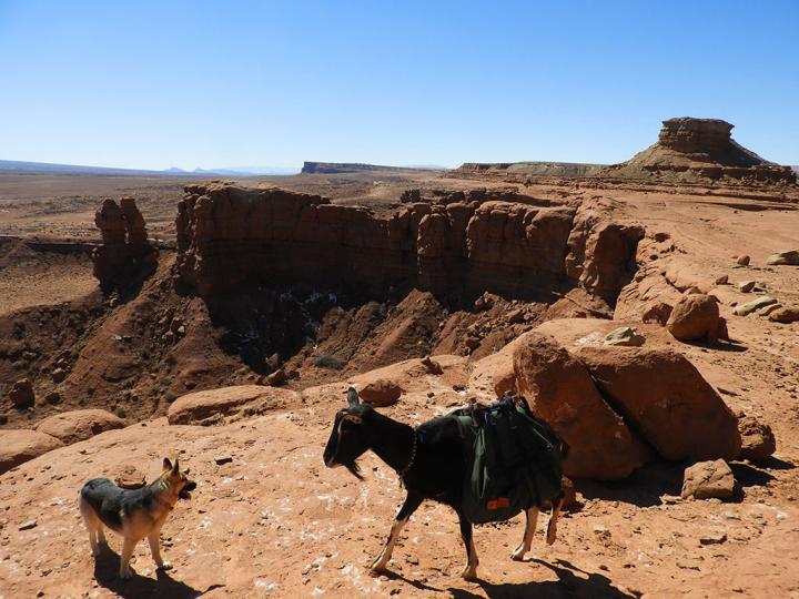 Filename: Plateau_02.jpg
Size: 258.61 KB
03-17-2019, 08:19 PM