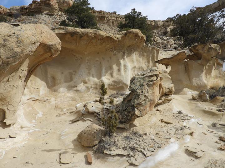 Filename: Pale_Sandstone_02.jpg
Size: 332.71 KB
03-21-2019, 08:35 PM
