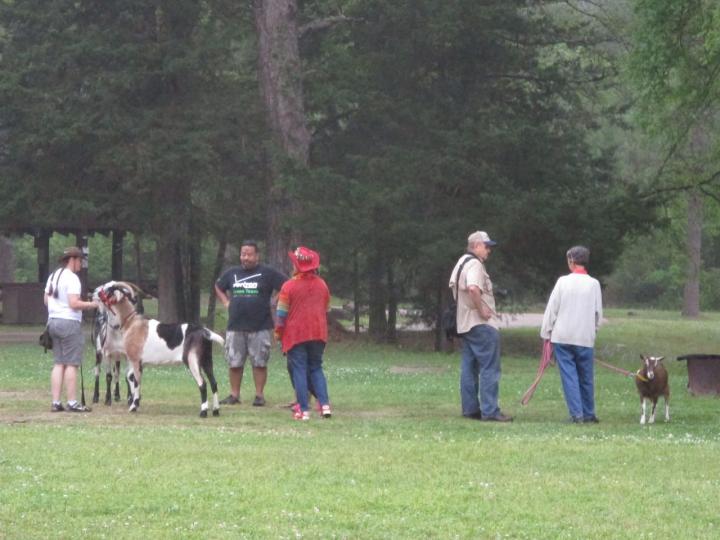Filename: 4:6:19.1.jpg
Size: 148.81 KB
04-11-2019, 03:40 PM