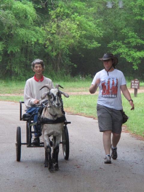 Filename: 4:6:19.8.jpg
Size: 162.92 KB
04-11-2019, 03:41 PM