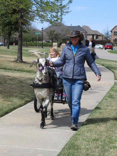 Filename: 3:31:19.5.jpg
Size: 230.45 KB
04-15-2019, 07:09 PM