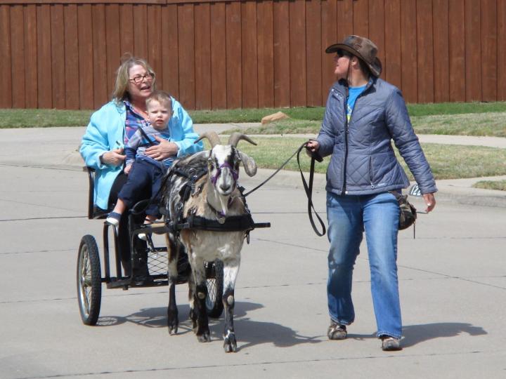 Filename: 3:31:19.7.jpg
Size: 152.73 KB
04-15-2019, 07:10 PM