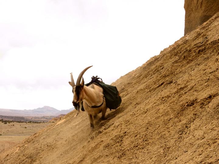 Filename: slope.jpg
Size: 337.03 KB
04-21-2019, 09:22 AM
