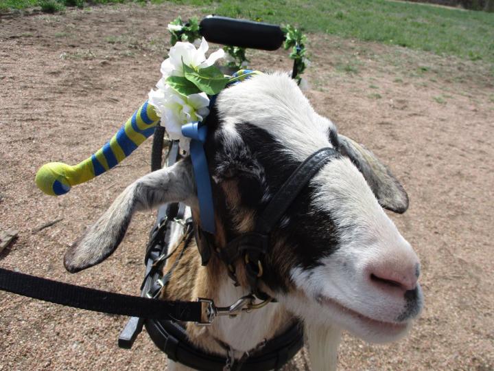 Filename: 4:20:19.9.jpg
Size: 223.81 KB
04-22-2019, 12:49 PM
