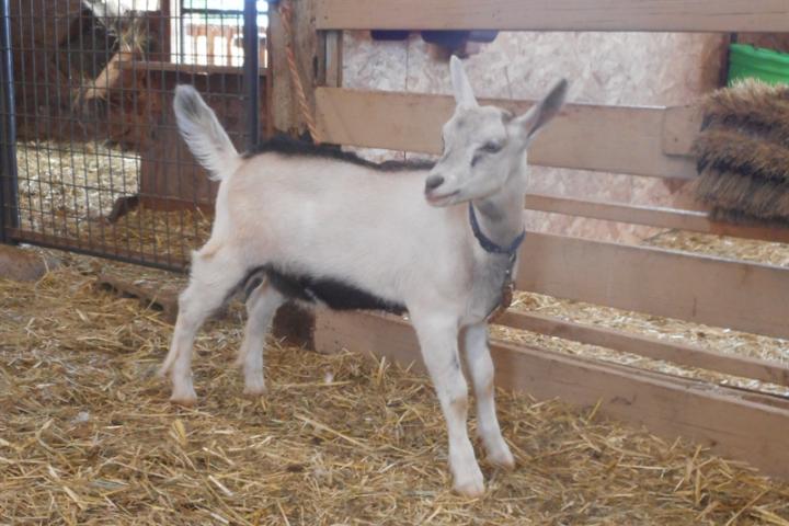 Filename: DSCN2036.jpg
Size: 370.03 KB
08-18-2019, 05:32 AM
