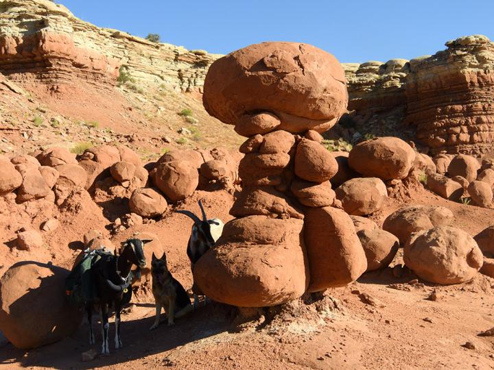 Filename: Hoodoo_Shade_01.jpg
Size: 409.16 KB
08-31-2019, 04:19 PM
