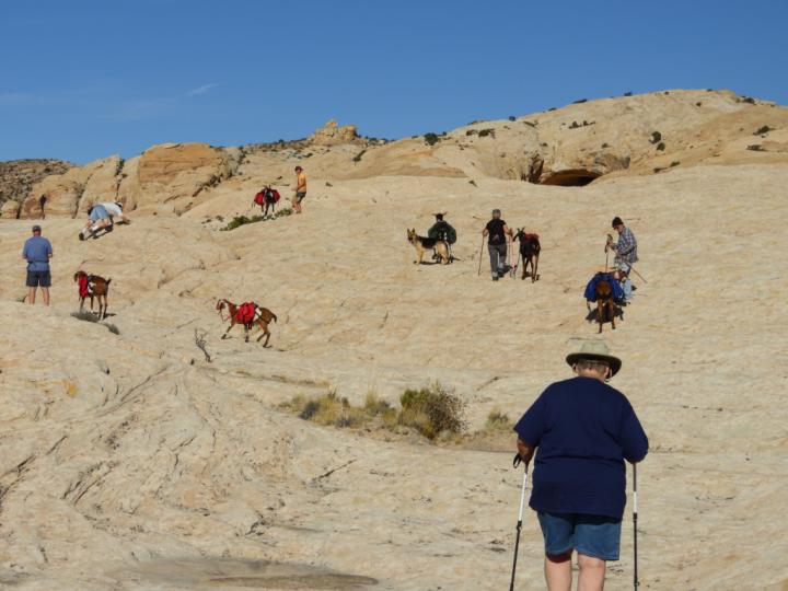 Filename: DSCN7411.jpg
Size: 633.53 KB
09-29-2019, 07:09 AM