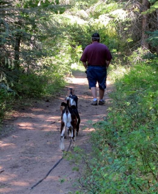 Filename: Gene leading the herd sm.jpg
Size: 177.46 KB
08-11-2014, 10:20 AM