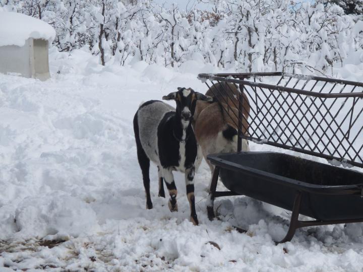 Filename: 10:24:19.1.jpg
Size: 182.15 KB
10-26-2019, 11:05 AM