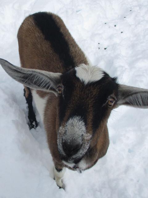 Filename: 10:24:19.3.jpg
Size: 110.74 KB
10-26-2019, 11:06 AM