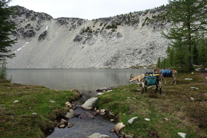 Filename: DSC02372 Bernice lake.JPG
Size: 410.12 KB
07-24-2020, 09:24 PM