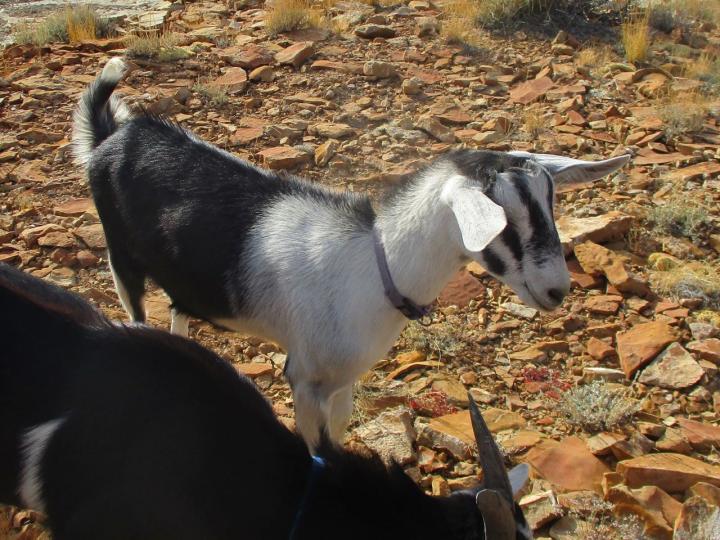Filename: 9:26:20.1.jpg
Size: 266.59 KB
12-09-2020, 06:55 AM
