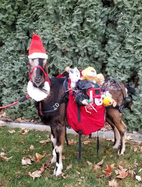 Filename: Santa Bourbon.jpg
Size: 569 KB
12-15-2020, 07:14 PM