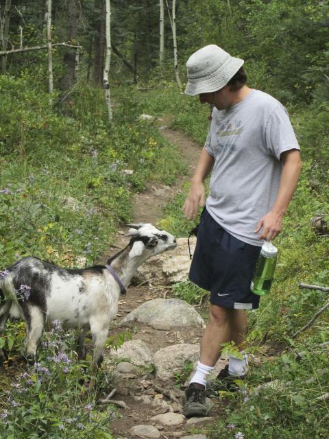 Filename: Hike_9:17:14.2.jpg
Size: 289.02 KB
09-29-2014, 06:02 AM