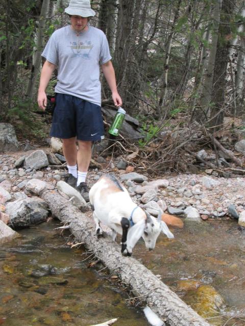Filename: Hike_9:17:14.3.jpg
Size: 258.79 KB
09-29-2014, 06:02 AM