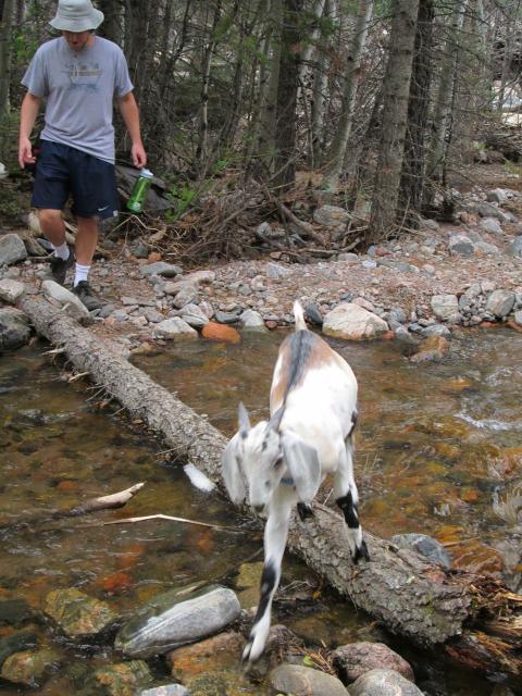 Filename: Hike_9:17:14.4.jpg
Size: 286.19 KB
09-29-2014, 06:02 AM
